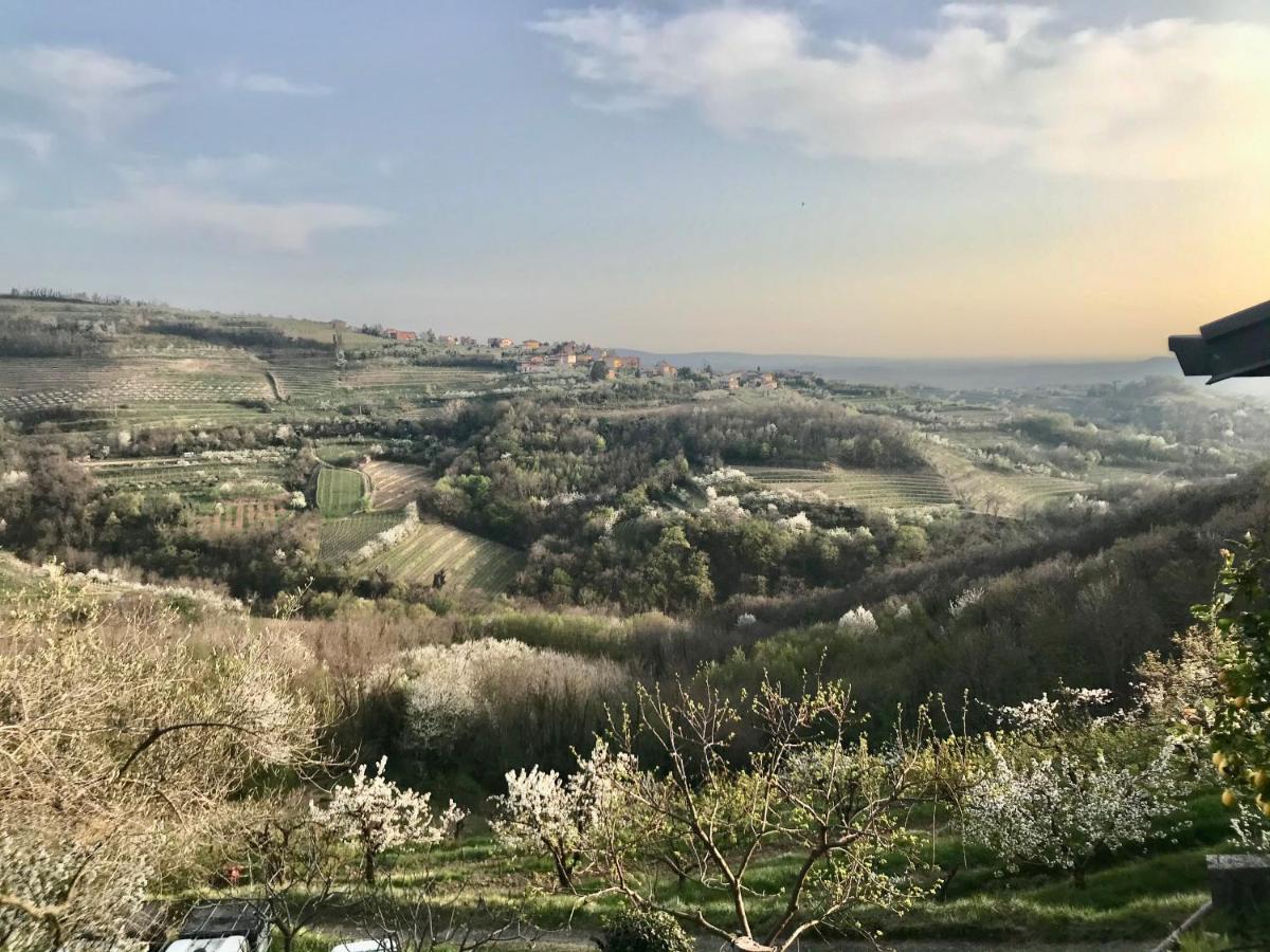 Enam Room Kojsko Dış mekan fotoğraf