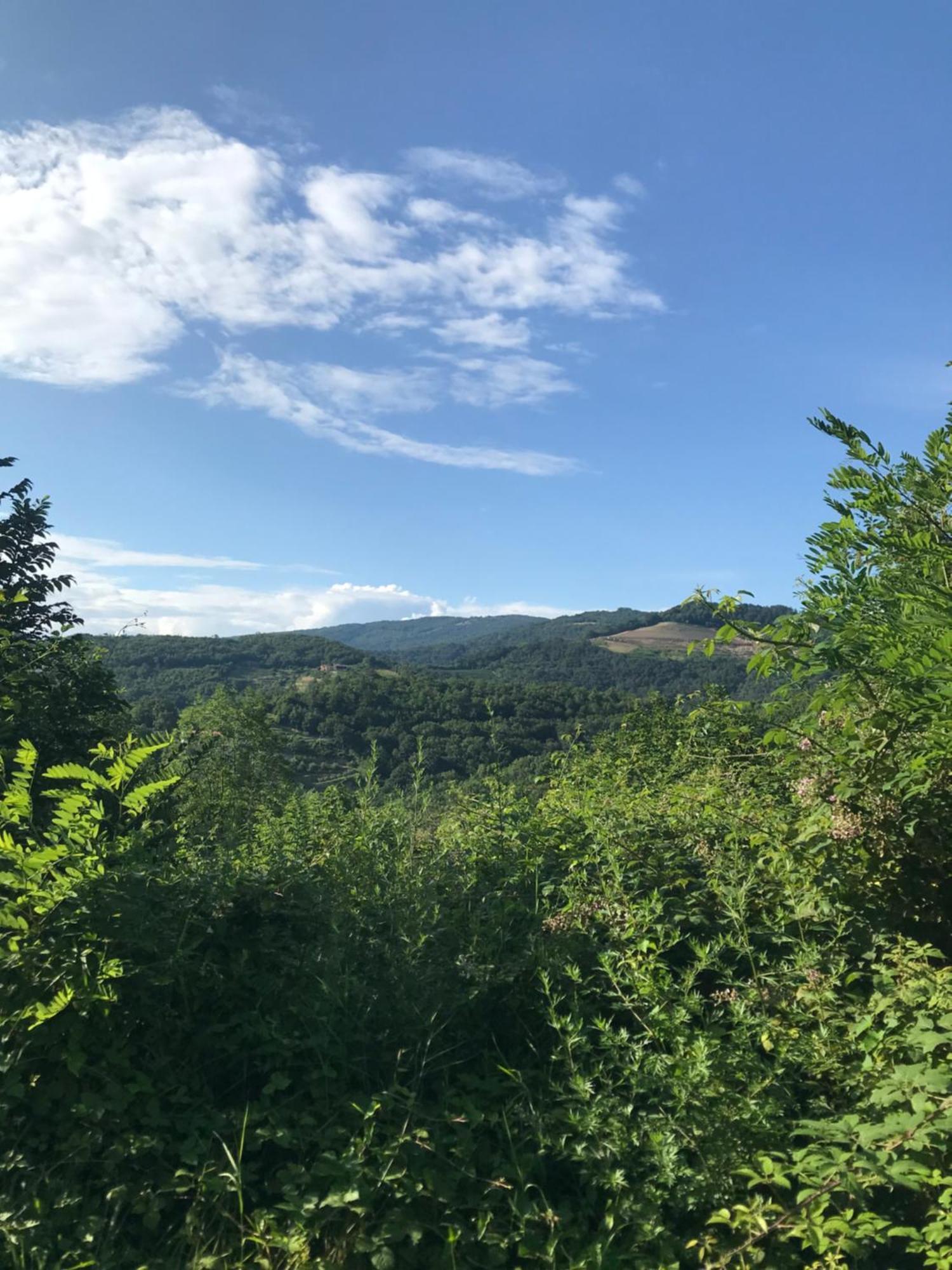 Enam Room Kojsko Dış mekan fotoğraf
